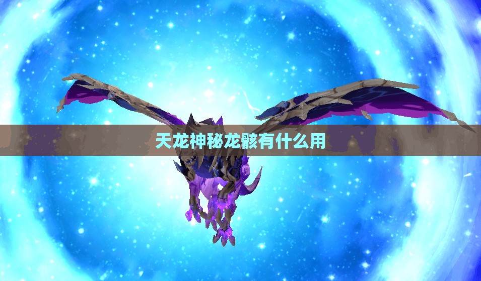 天龙神秘龙骸有什么用