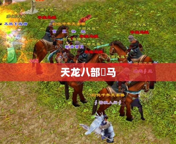 天龙八部駮马