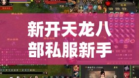 新开天龙八部私服新手玩家的注意事项 新开天龙八部私服新手玩家的注意事项